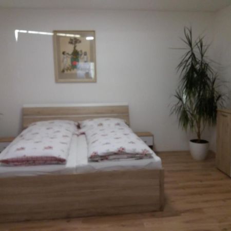 Apartman Formanka 利贝雷茨 外观 照片