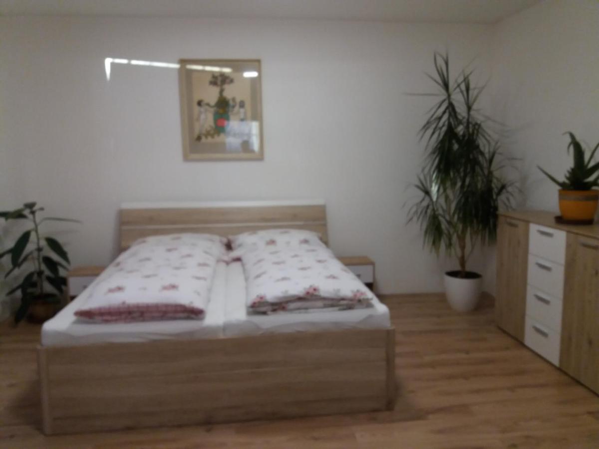 Apartman Formanka 利贝雷茨 外观 照片